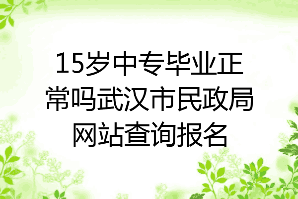15岁中专毕业正常吗武汉市民政局网站查询报名