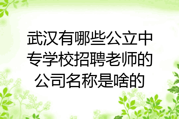 武汉有哪些公立中专学校招聘老师的公司名称是啥的