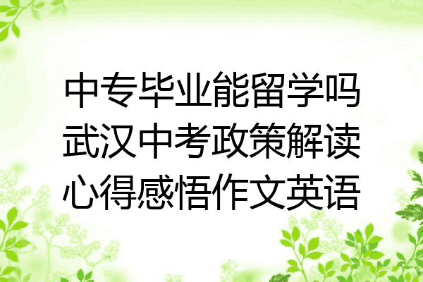 中专毕业能留学吗武汉中考政策解读心得感悟作文英语