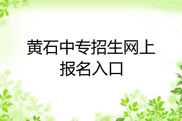黄石中专招生网上报名入口