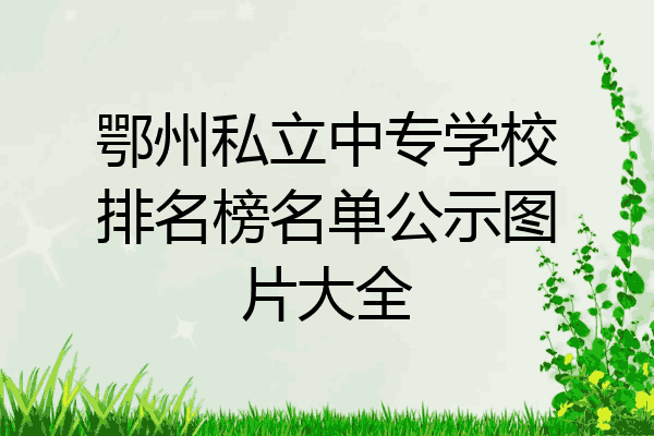 鄂州私立中专学校排名榜名单公示图片大全
