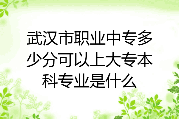 武汉市职业中专多少分可以上大专本科专业是什么