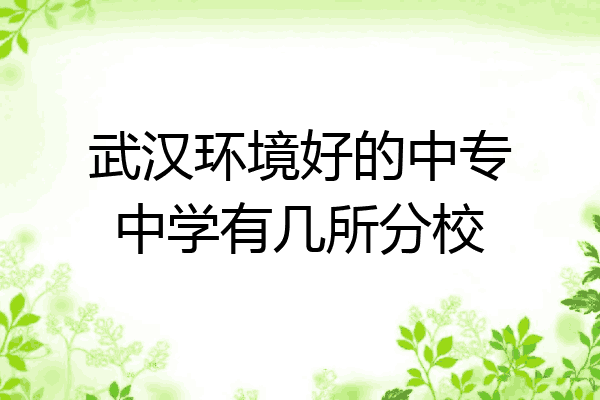 武汉环境好的中专中学有几所分校