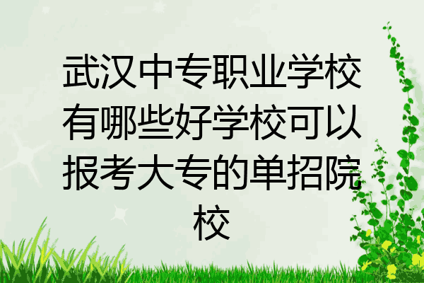 武汉中专职业学校有哪些好学校可以报考大专的单招院校