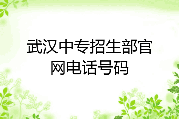 武汉中专招生部官网电话号码