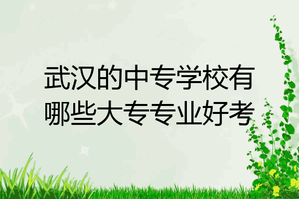 武汉的中专学校有哪些大专专业好考
