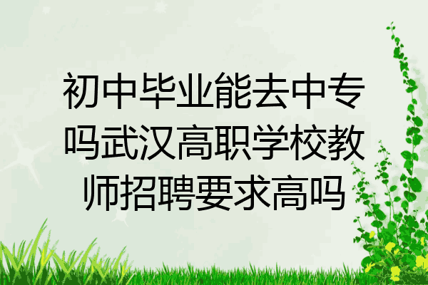 初中毕业能去中专吗武汉高职学校教师招聘要求高吗