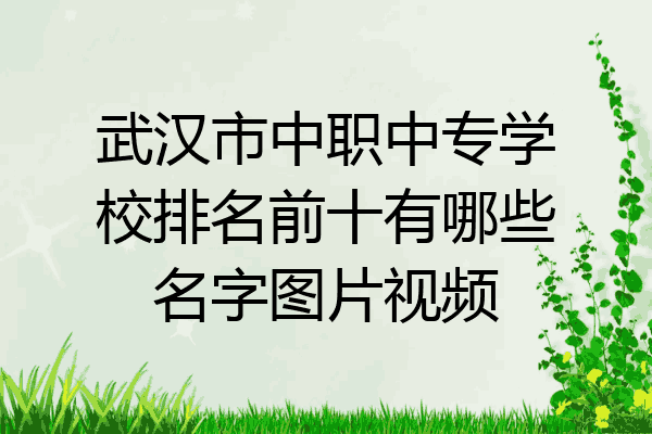 武汉市中职中专学校排名前十有哪些名字图片视频