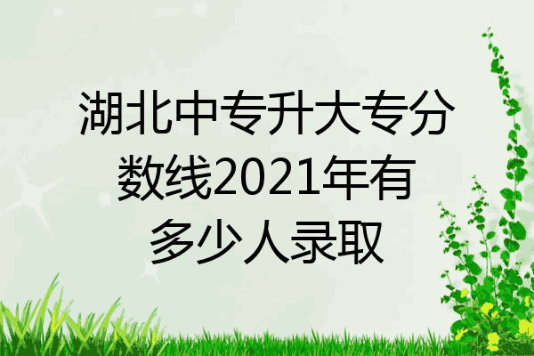 湖北中专升大专分数线2021年有多少人录取