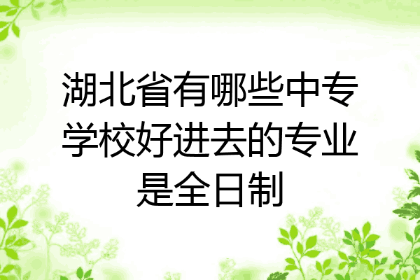 湖北省有哪些中专学校好进去的专业是全日制