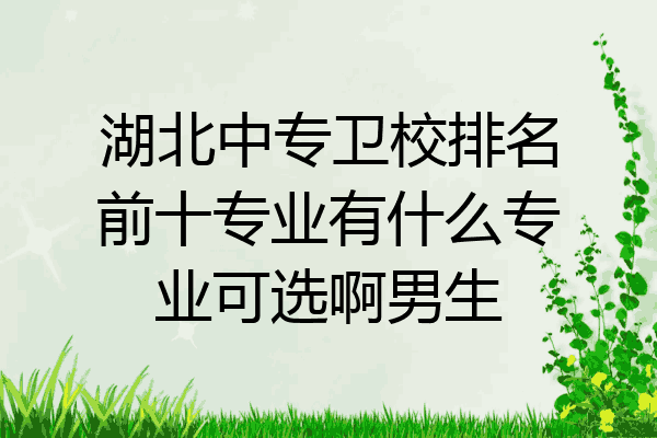 湖北中专卫校排名前十专业有什么专业可选啊男生