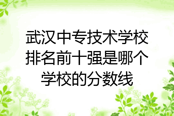 武汉中专技术学校排名前十强是哪个学校的分数线