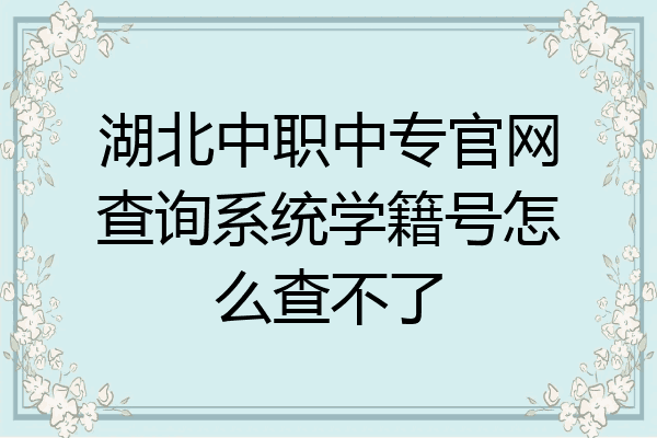 湖北中职中专官网查询系统学籍号怎么查不了