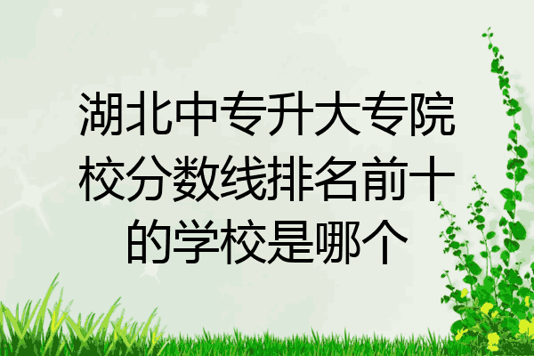 湖北中专升大专院校分数线排名前十的学校是哪个
