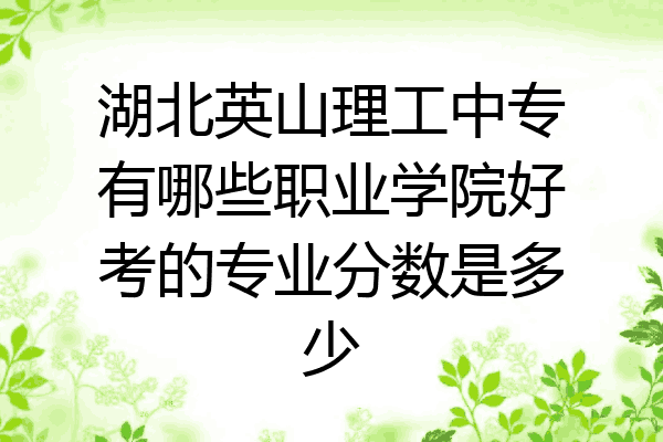 湖北英山理工中专有哪些职业学院好考的专业分数是多少