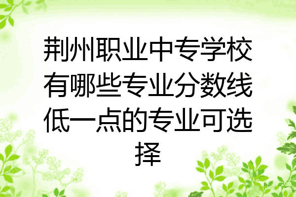 荆州职业中专学校有哪些专业分数线低一点的专业可选择