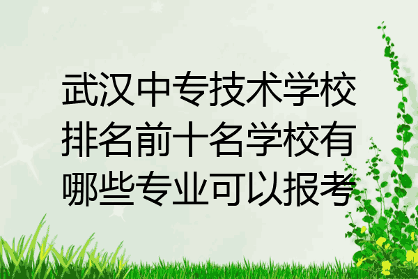武汉中专技术学校排名前十名学校有哪些专业可以报考