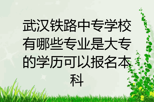 武汉铁路中专学校有哪些专业是大专的学历可以报名本科