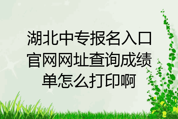 湖北中专报名入口官网网址查询成绩单怎么打印啊