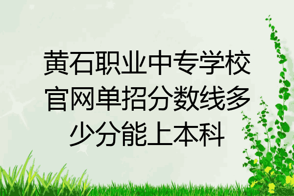 黄石职业中专学校官网单招分数线多少分能上本科