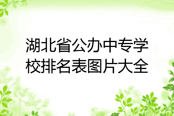 湖北省公办中专学校排名表图片大全