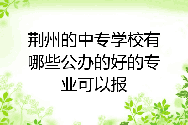 荆州的中专学校有哪些公办的好的专业可以报