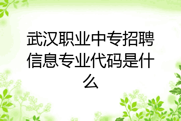 武汉职业中专招聘信息专业代码是什么