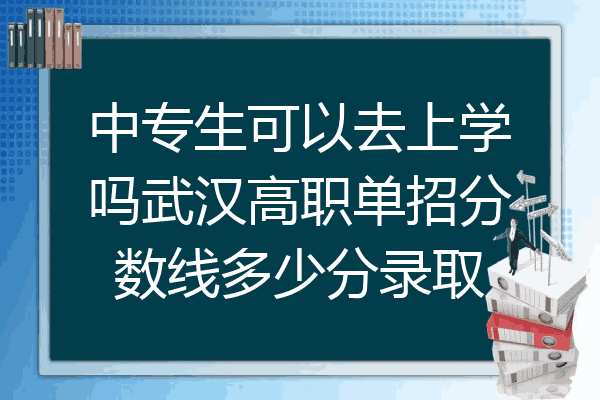 中专生可以去上学吗武汉高职单招分数线多少分录取
