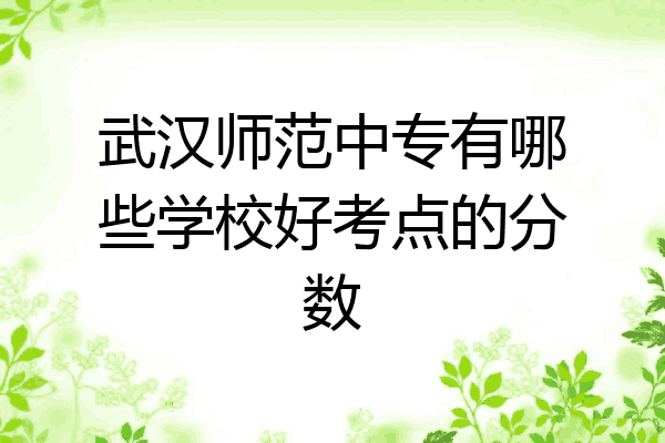 武汉师范中专有哪些学校好考点的分数