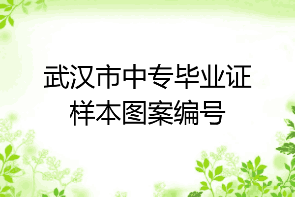 武汉市中专毕业证样本图案编号
