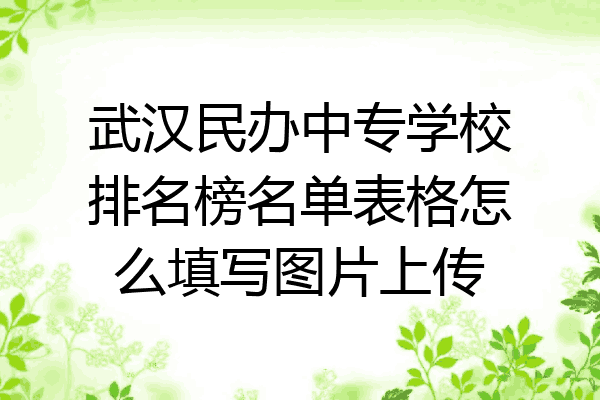 武汉民办中专学校排名榜名单表格怎么填写图片上传