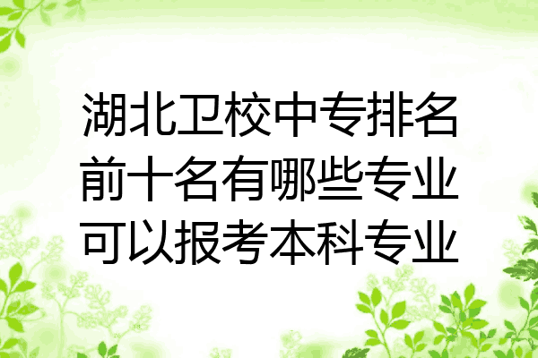 湖北卫校中专排名前十名有哪些专业可以报考本科专业