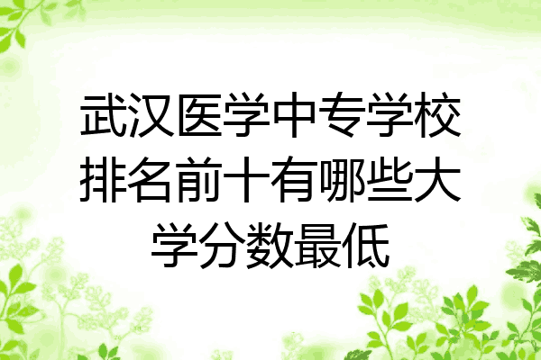武汉医学中专学校排名前十有哪些大学分数最低