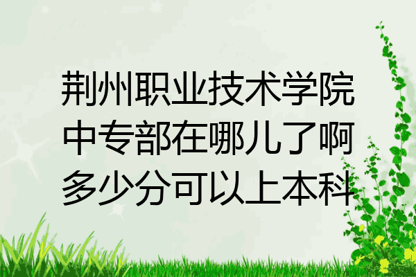 荆州职业技术学院中专部在哪儿了啊多少分可以上本科