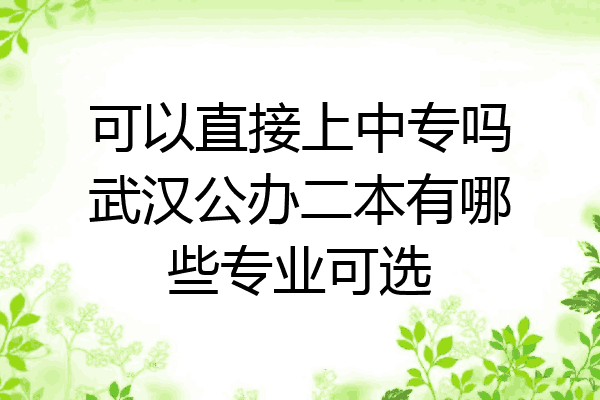 可以直接上中专吗武汉公办二本有哪些专业可选