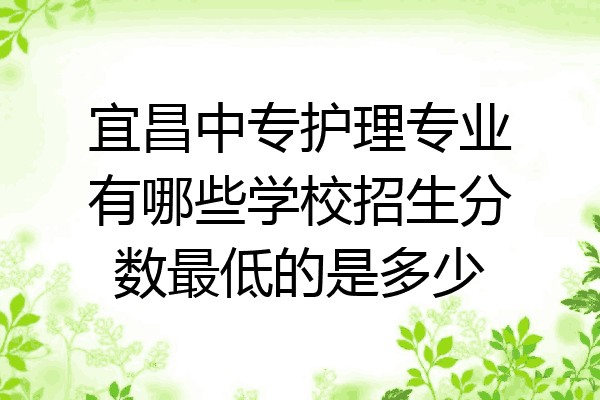 宜昌中专护理专业有哪些学校招生分数最低的是多少