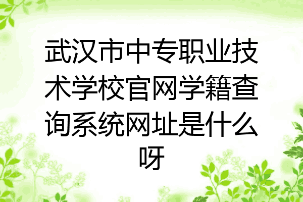 武汉市中专职业技术学校官网学籍查询系统网址是什么呀