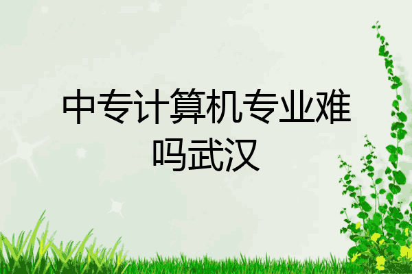 中专计算机专业难吗武汉