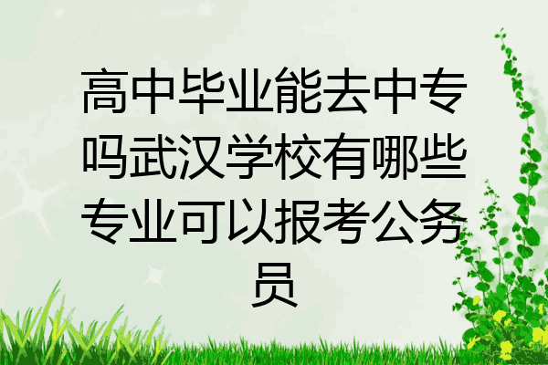 高中毕业能去中专吗武汉学校有哪些专业可以报考公务员