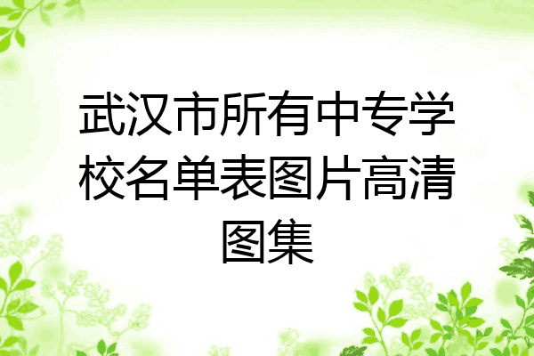 武汉市所有中专学校名单表图片高清图集
