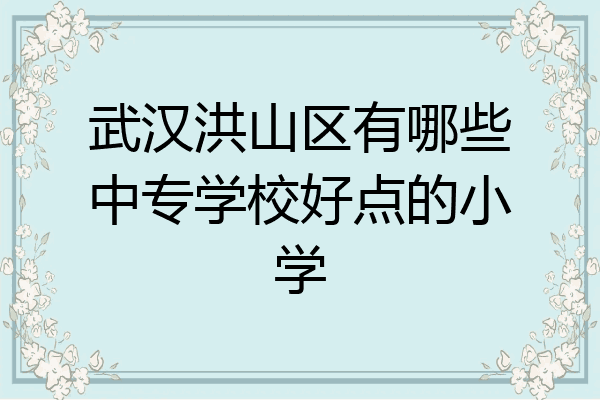武汉洪山区有哪些中专学校好点的小学