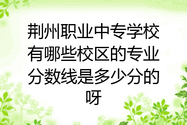 荆州职业中专学校有哪些校区的专业分数线是多少分的呀
