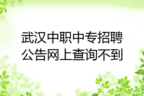 武汉中职中专招聘公告网上查询不到