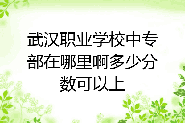 武汉职业学校中专部在哪里啊多少分数可以上