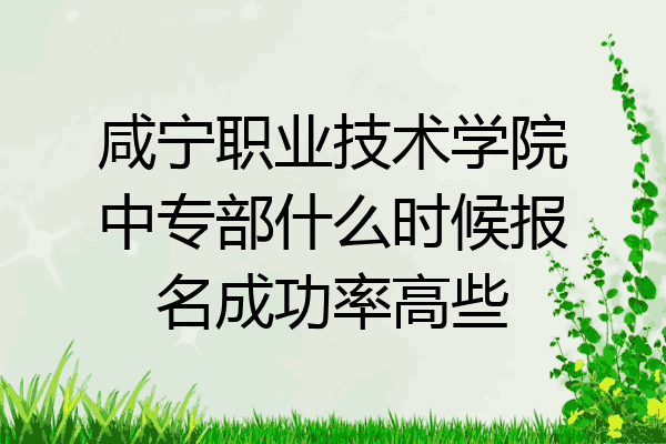 咸宁职业技术学院中专部什么时候报名成功率高些