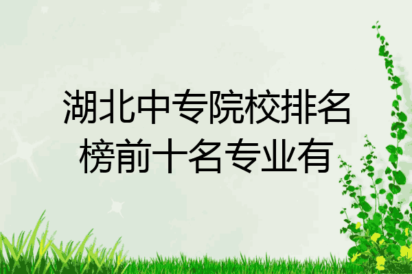 湖北中专院校排名榜前十名专业有