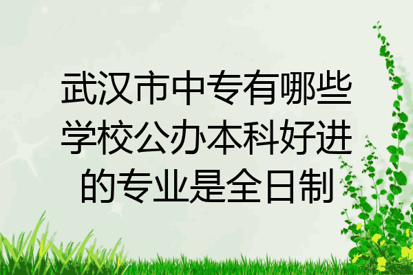 武汉市中专有哪些学校公办本科好进的专业是全日制