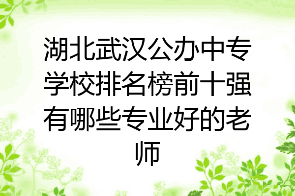 湖北武汉公办中专学校排名榜前十强有哪些专业好的老师