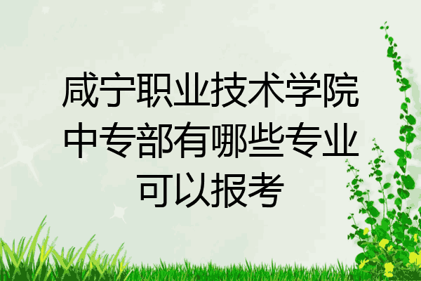 咸宁职业技术学院中专部有哪些专业可以报考
