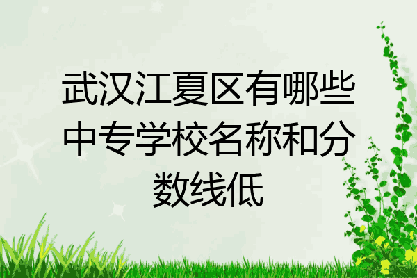武汉江夏区有哪些中专学校名称和分数线低